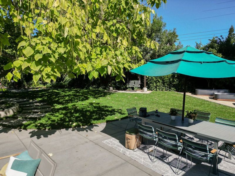 Scott Residence — gallery photo 2