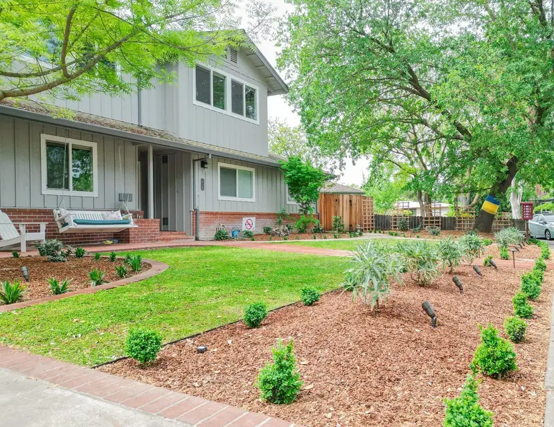Native plant landscape installation in Sacramento