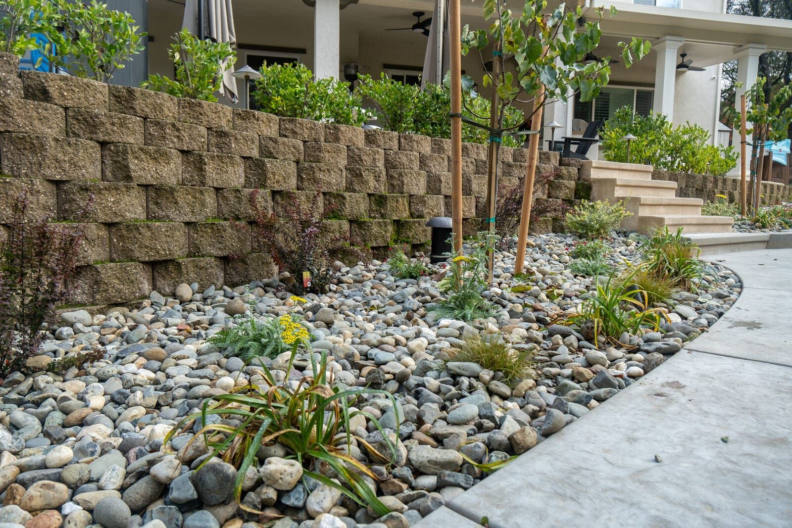 Mediterranean drought-tolerant landscape design with natural stone in Sacramento
